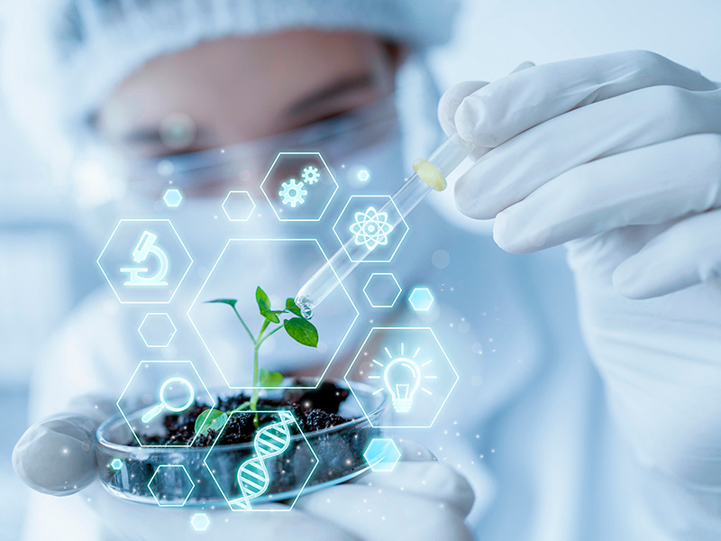 Imagen del curso Bioética básica