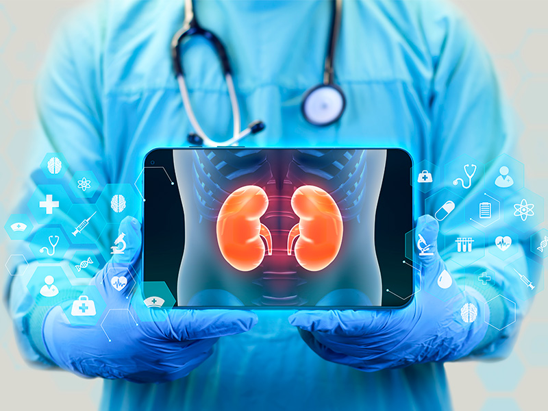 Imagen del curso Cuidados integrales de enfermería en procesos nefrourológicos